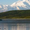 Moose-Water